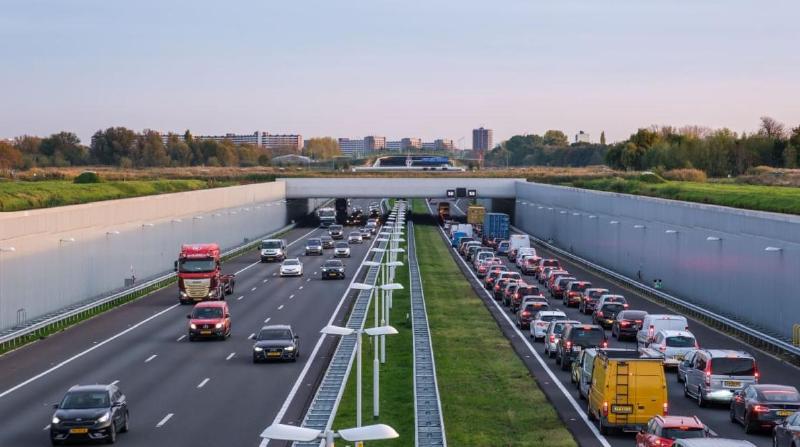 Foto: Frank Cornelissen (Shutterstock)