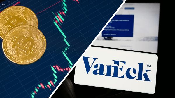 Bos Manajer Aset Raksasa: 'Jika Harus, Kami Akan Lanjut Tanpa Bitcoin'