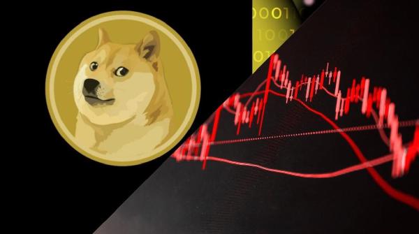 Dogecoin Alami Penurunan Drastis: Harga Anjlok 7,5% dalam Waktu Singkat