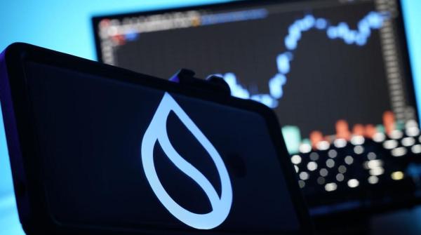 Kripto Sui Pecahkan Rekor: Naik 30% Hanya dalam 24 Jam